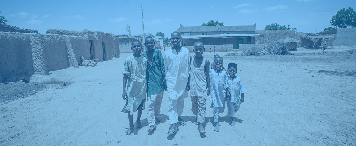 Geo-referenced Infrastructure and Demographic Data for Development
