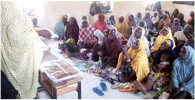 Introducing the Immunity Boosting Sweet Potato to Kano State