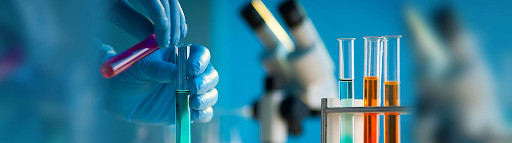 Leveraging Data-Driven Decision-Making for Project Success: